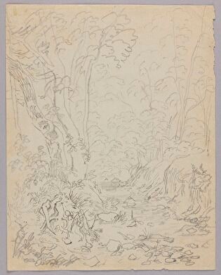 Forest Ravine; Verso: Clouds