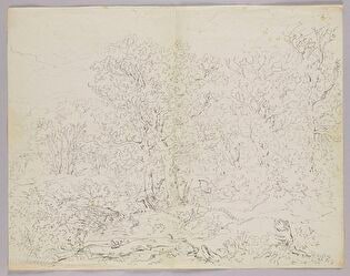 Trees by a Stream; Verso: Forest Road