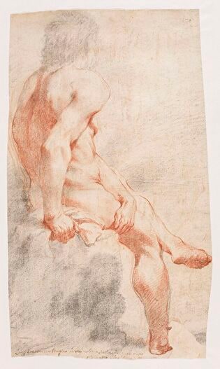 Male nude