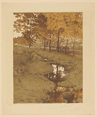Golden Autumn