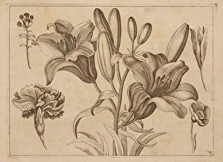 16) Floral Composition