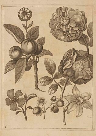15) Floral Composition