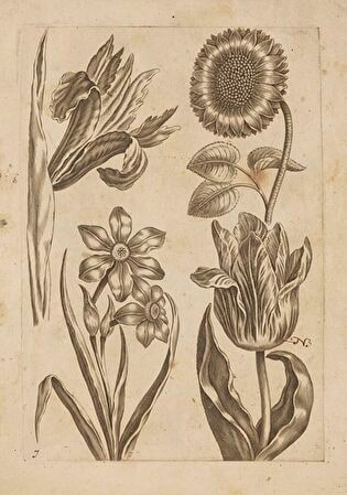 7) Floral Composition
