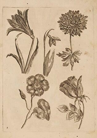 9) Floral Composition