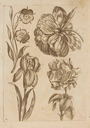 11) Floral Composition