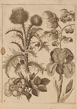 5) Floral Composition