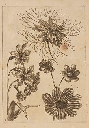 6) Floral Composition