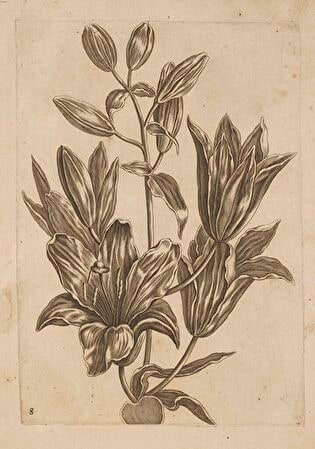 8) Floral Composition