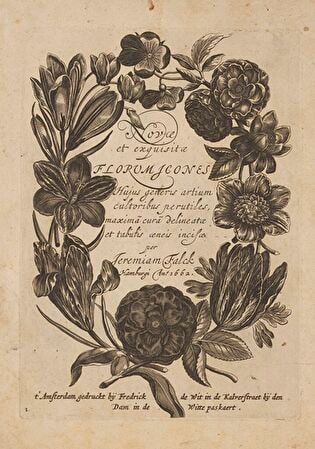 1) Frontispiece