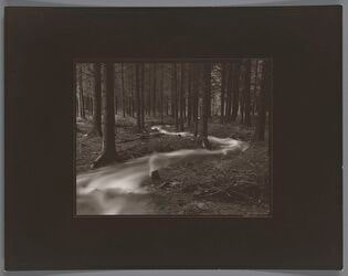 Z cyklu "Woda": 7.04.1994. Ardennes