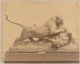 'Salon 1892. Groupe de Tigres. (Cain.)' [Tigers in Combat, an 1891 bronze sculpture by Auguste Nicolas Cain (1821–1894), presented at the 1892 Paris Salon]