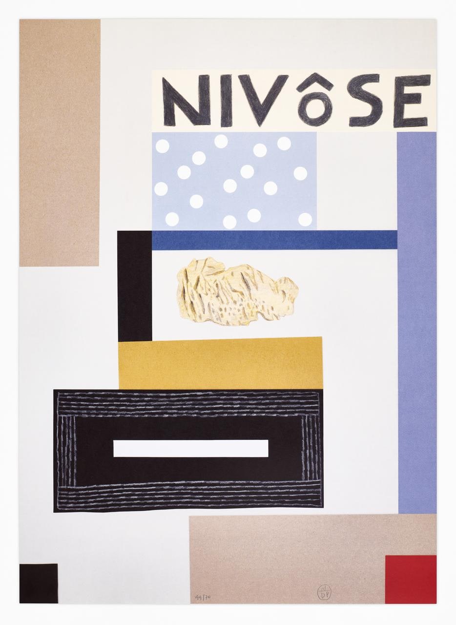 Nivôse, Année révolutionnaire