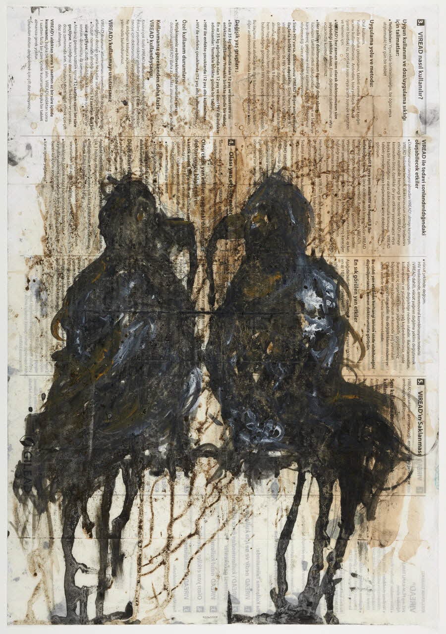 Deux oiseaux