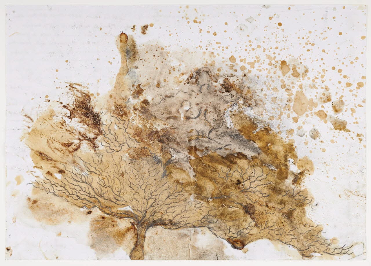 Arbre, impression du matin