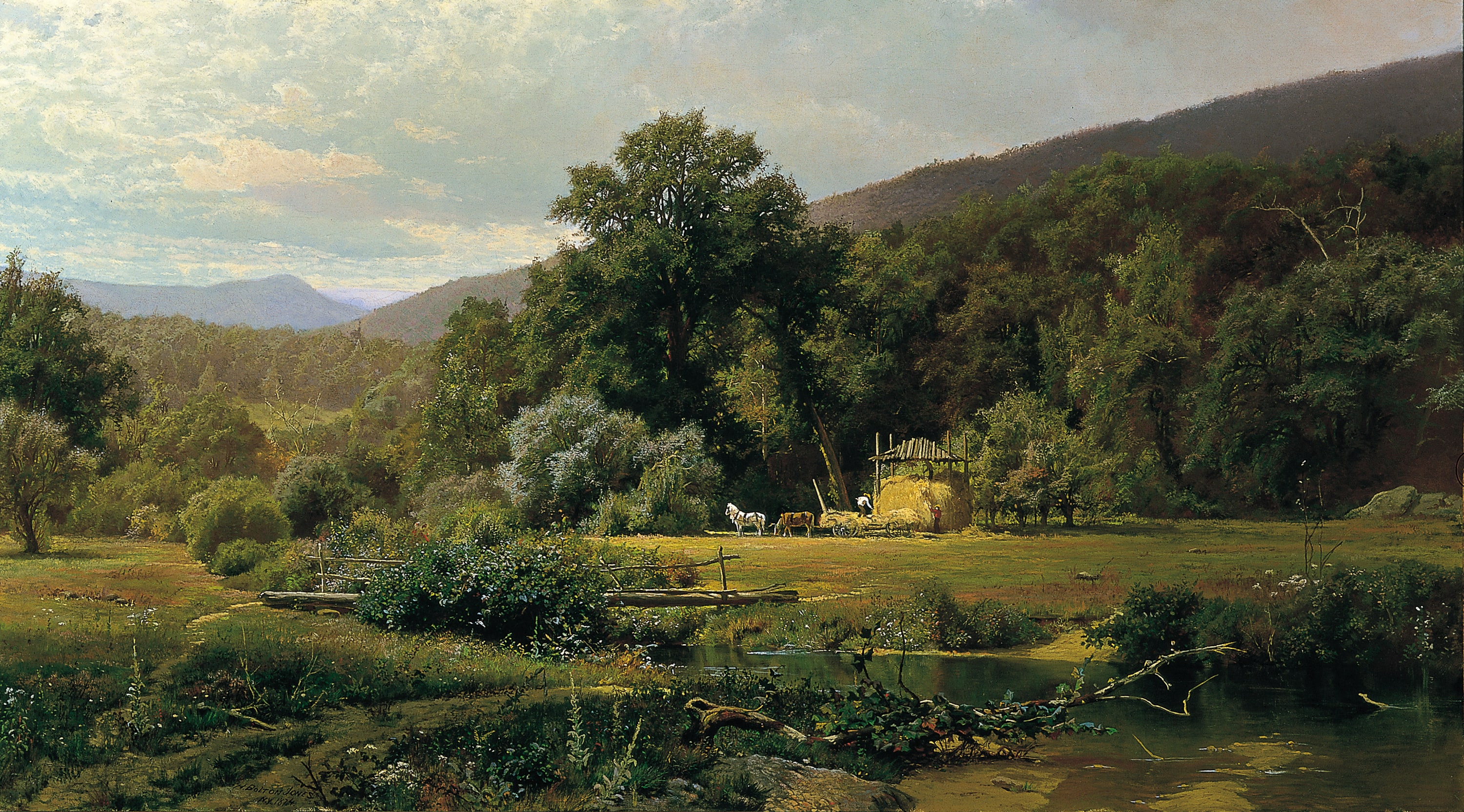 Summer in the Blue Ridge