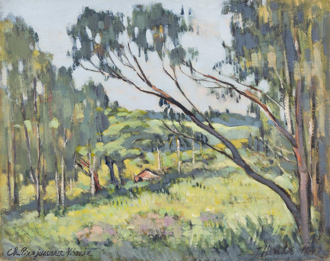 Paisagem da Vila Sônia