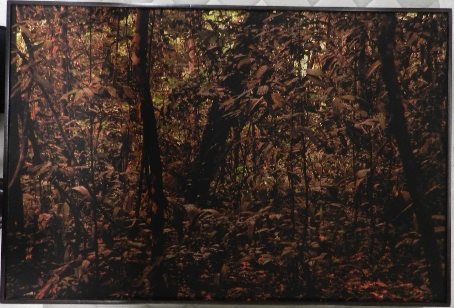Altamira #4
