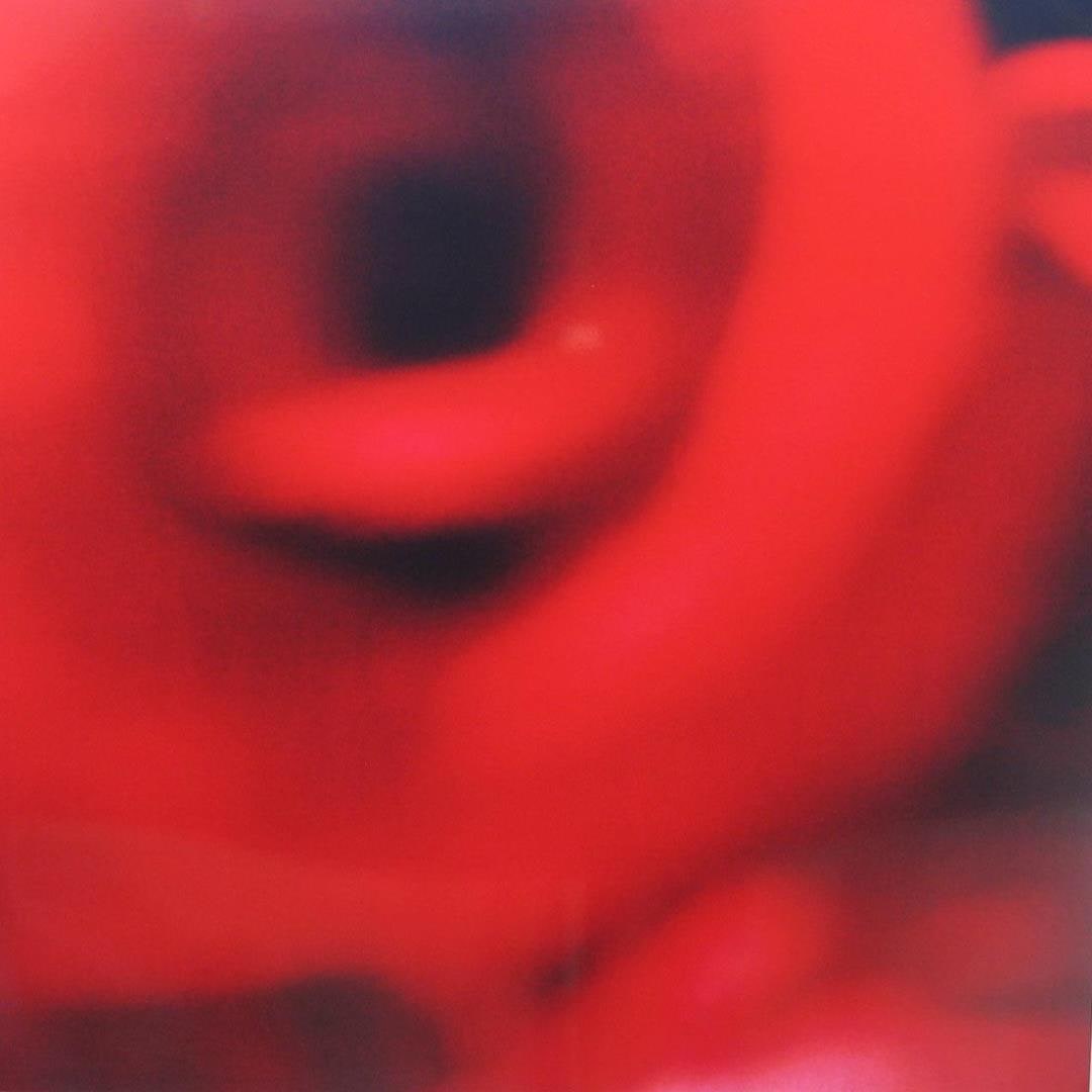 Sem título (da série "Rosa")