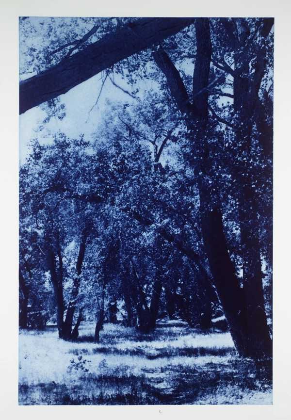 Blue Sisters, Structures of Deviance
