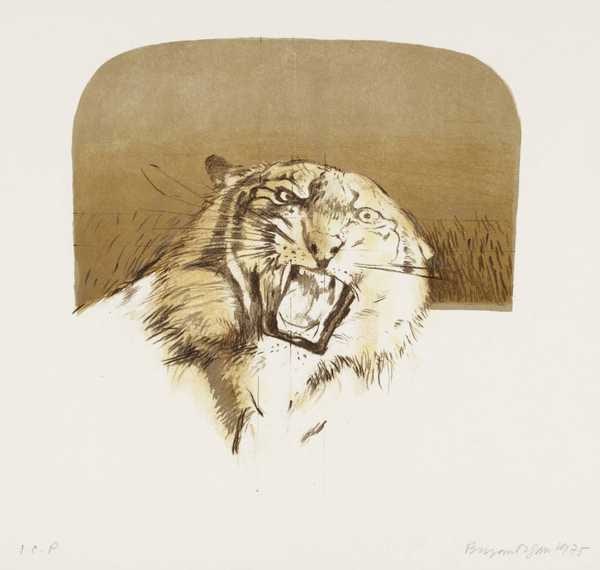 Four Heads of Wild Cats