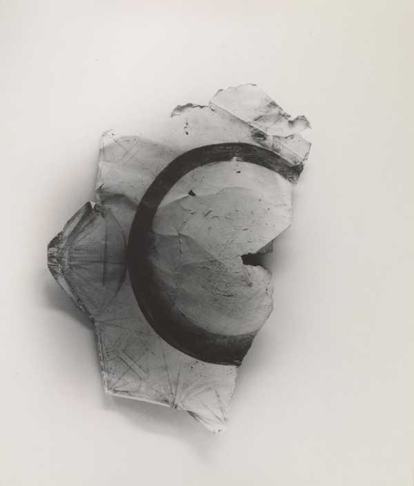 Untitled (White Spica)
