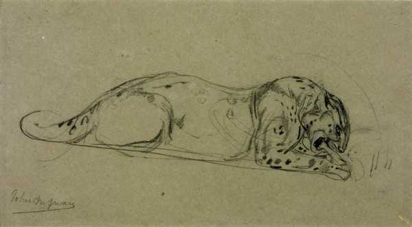 ‘Leopard Gnawing a Bone‘, John Macallan Swan | Tate