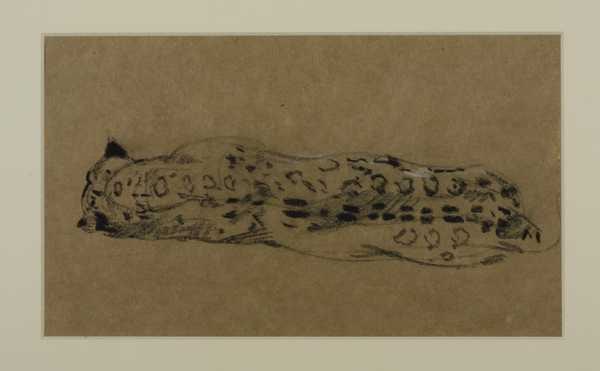 ‘Back of a Leopard Lying Down‘, John Macallan Swan | Tate