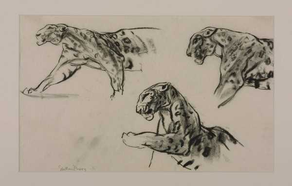 ‘Three Studies of Leopards‘, Elsie Marian Henderson, 1916 | Tate