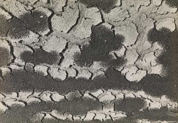 Drought at Újfehértó