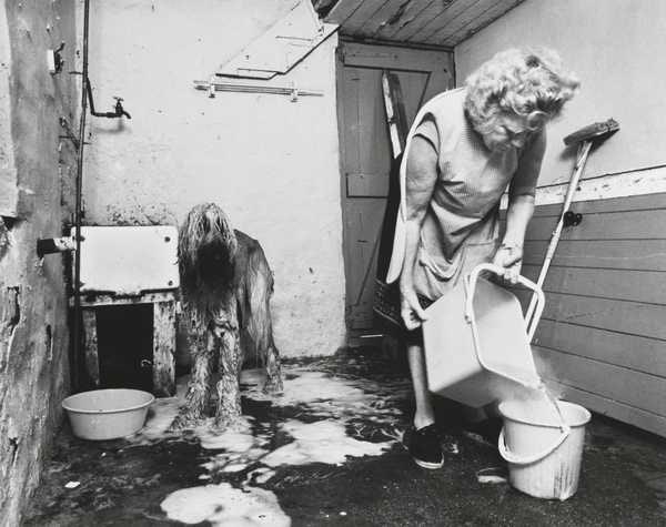 Dogs Hairdressing, Shields Road (Byker)