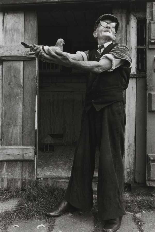 Jimmy Dodds, Albion Row Allotments (Byker)