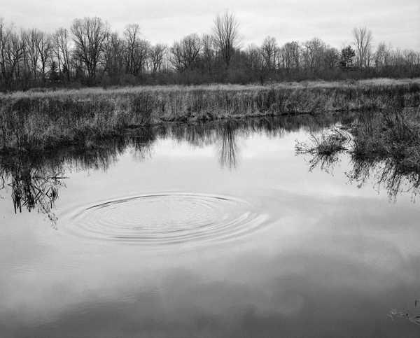 Ripple on pond, Valparaiso, Indiana