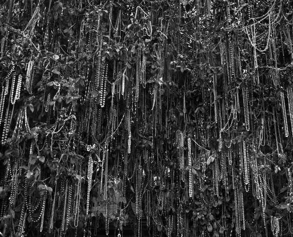 Beads, Lafayette, Louisiana