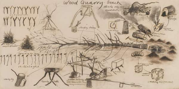 ‘Wood Quarry - Beech, Otterlo‘, David Nash, 1982 | Tate