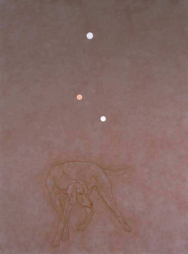 ‘Investigations of a Dog (Pictor)‘, John Murphy, 1984–96 | Tate