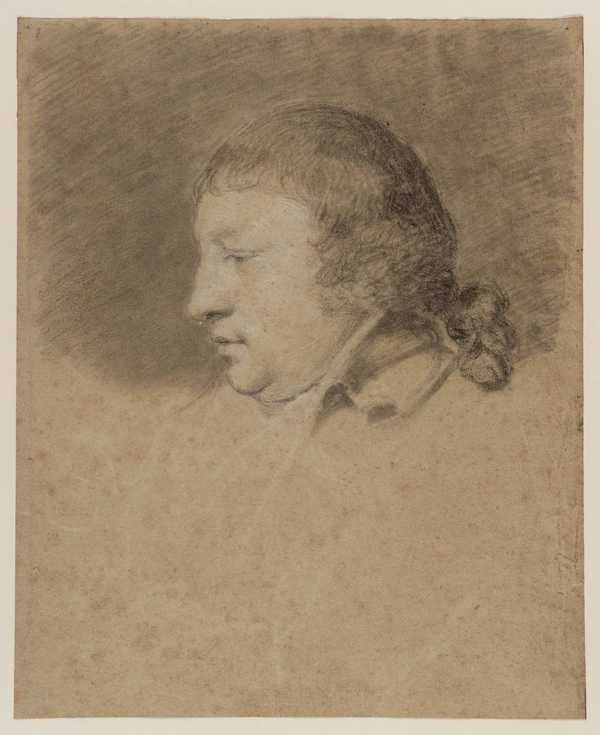 Head of a Man in Profile to Left