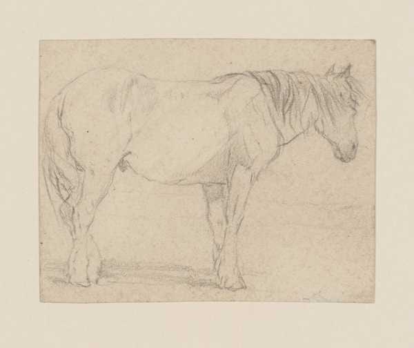 ‘A Farm Horse. Verso: Drawing‘, pseudo John Sell Cotman | Tate
