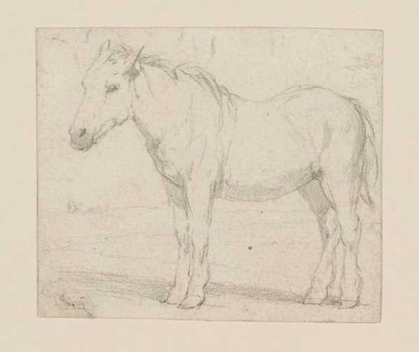 ‘A Farm Horse‘, pseudo John Sell Cotman | Tate