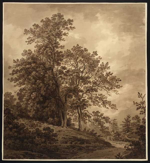 ‘A Group of Trees‘, Hugh William Williams | Tate