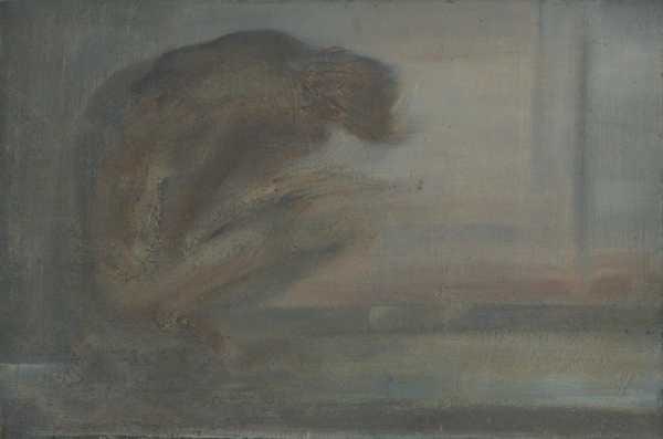 Male Baboon