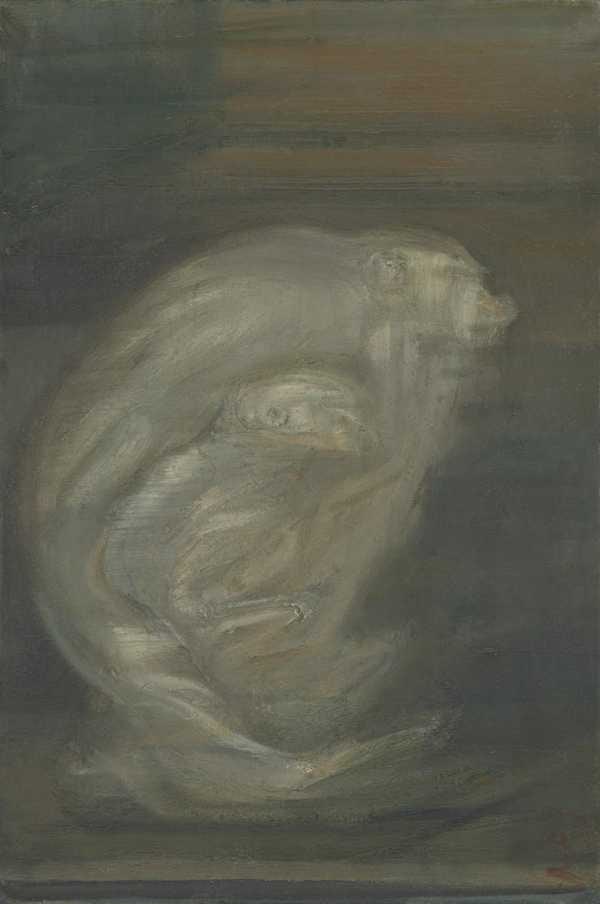 Baboon and Child