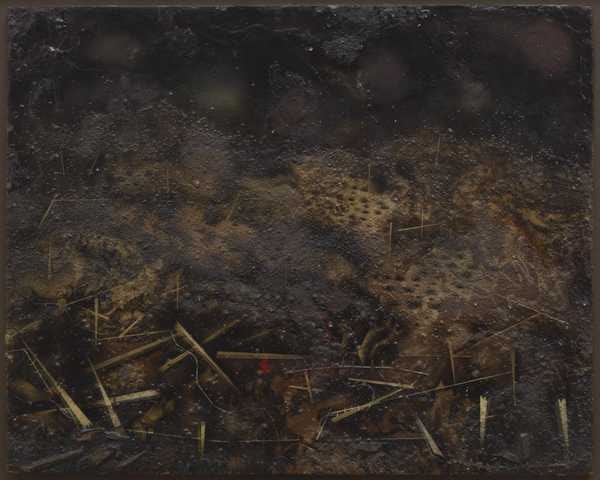 Cosmos and Disaster