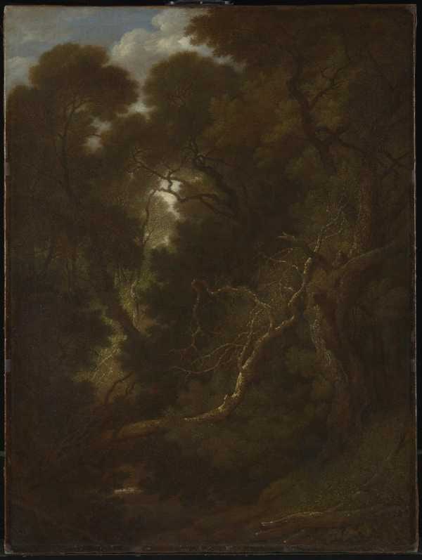 Tree Study, Fordland