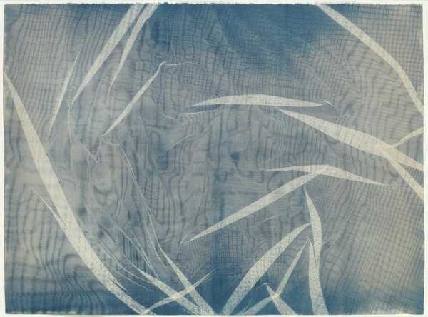 Photogenic Painting, Untitled 74/3