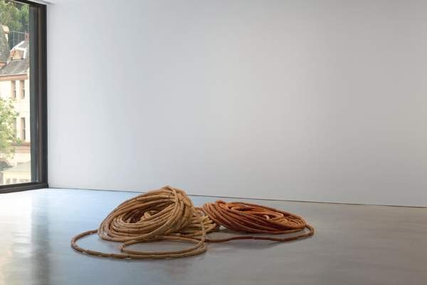 ‘Corn Cob Coil‘, Maria Fernanda Cardoso, 1989 | Tate