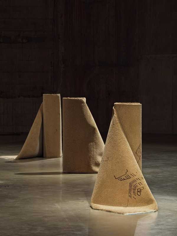 Reveries of an Underground Forest