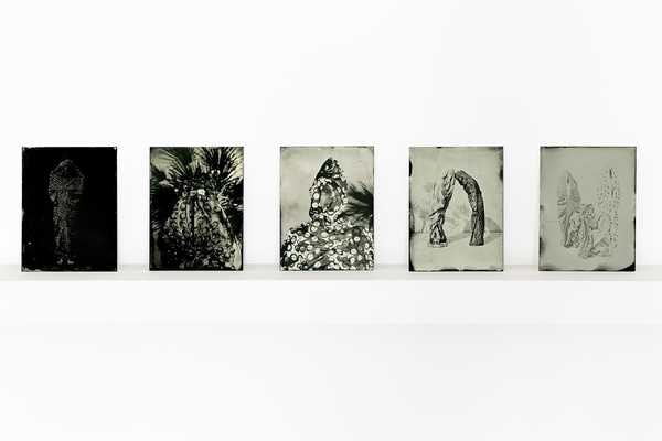 Impronta Series