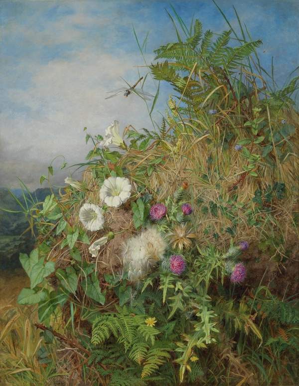 Wild Flowers at the Corner of a Cornfield