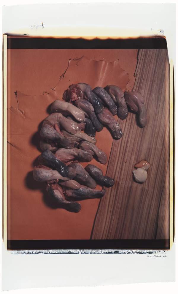 No. 2: Tongues