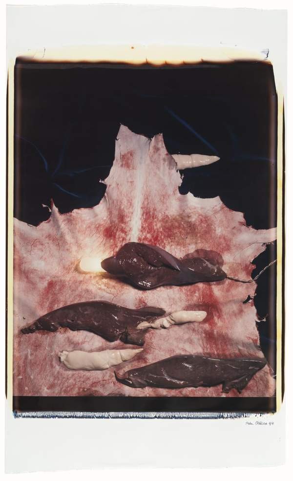 No. 3: Liver